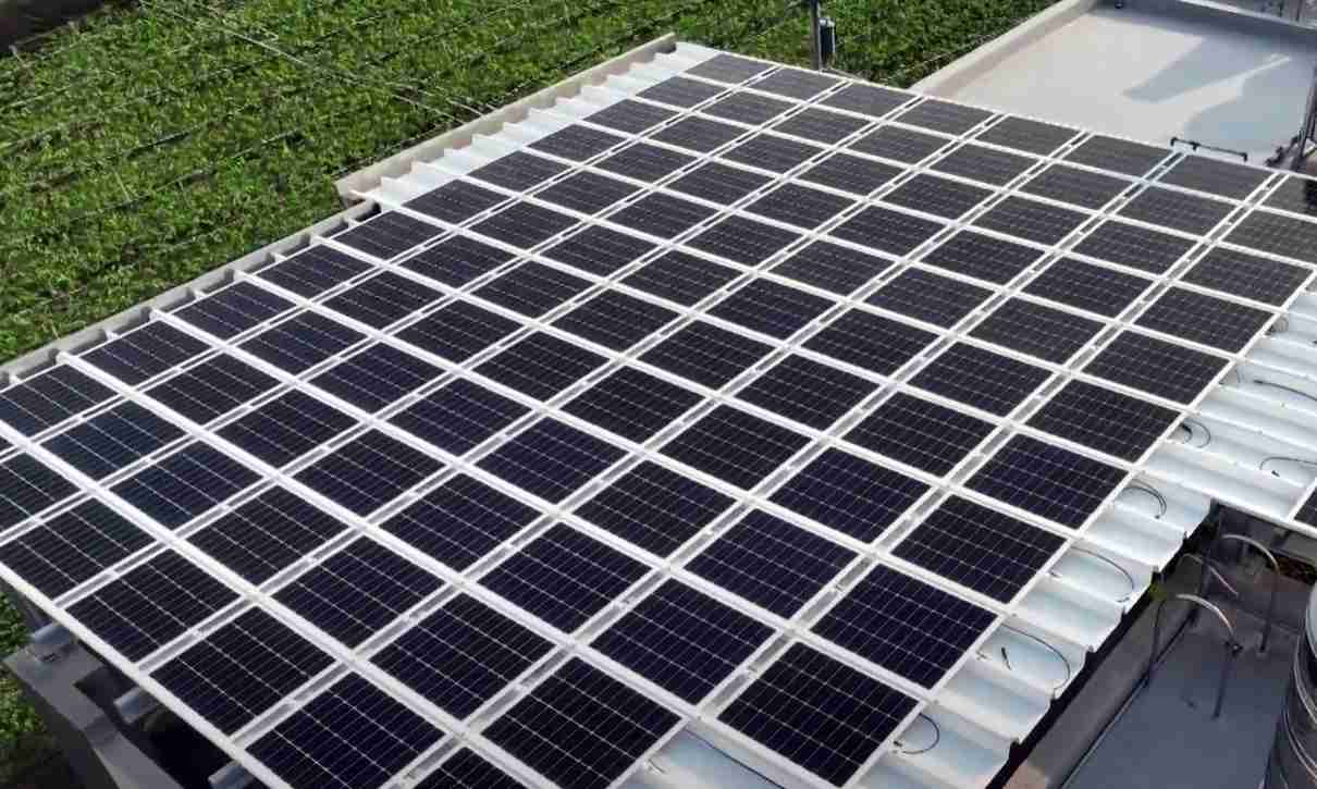 糖果派对SunSteel光电浪板升级双玻结构，，，以提升机械负载强度及气候耐候度，，，，可广泛运用于多元场域